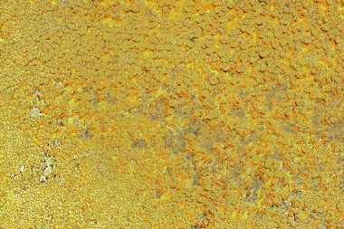 sarı renkli kirli duvar, desenli arka plan