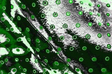 soyut yeşil doku, arkaplan, duvar kağıdını kopyala