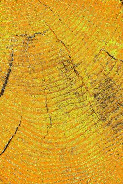 Renkli kirli duvar, desenli arkaplan