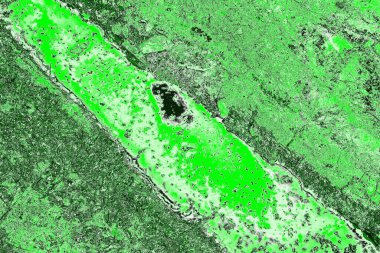 soyut yeşil doku, arkaplan, duvar kağıdını kopyala