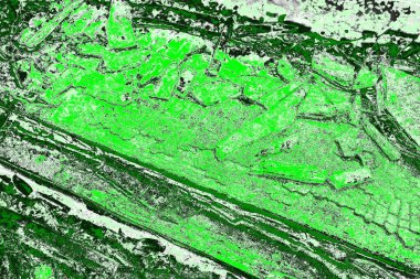 soyut yeşil doku, arkaplan, duvar kağıdını kopyala