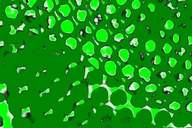 soyut yeşil doku, arkaplan, duvar kağıdını kopyala