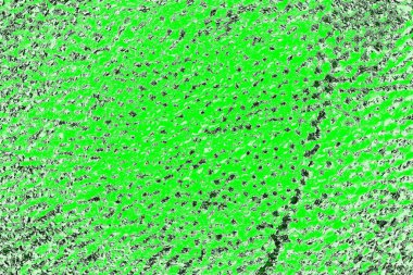 soyut yeşil doku, arkaplan, duvar kağıdını kopyala