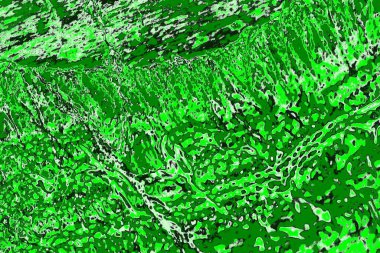 soyut yeşil doku, arkaplan, duvar kağıdını kopyala