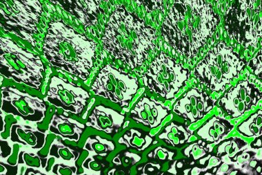 soyut yeşil doku, arkaplan, duvar kağıdını kopyala