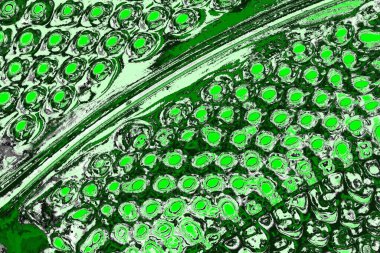 soyut yeşil doku, arkaplan, duvar kağıdını kopyala