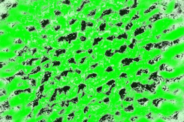 soyut yeşil doku, arkaplan, duvar kağıdını kopyala