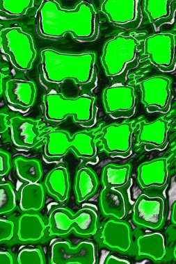 soyut yeşil doku, arkaplan, duvar kağıdını kopyala