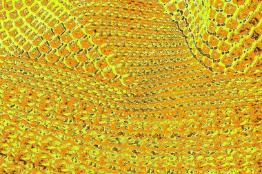 sarı renkli kirli duvar, desenli arka plan