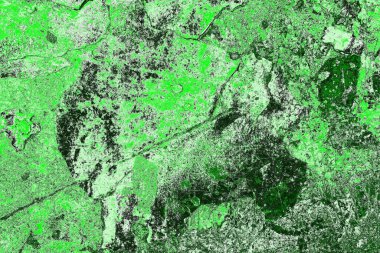 soyut yeşil doku, arkaplan, duvar kağıdını kopyala