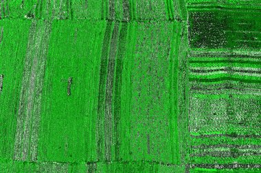 soyut yeşil doku, arkaplan, duvar kağıdını kopyala