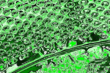 soyut yeşil doku, arkaplan, duvar kağıdını kopyala