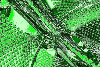 soyut yeşil doku, arkaplan, duvar kağıdını kopyala