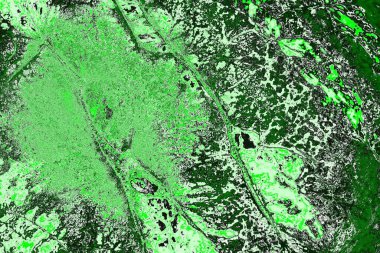 soyut yeşil doku, arkaplan, duvar kağıdını kopyala