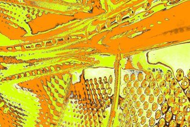 Renkli kirli duvar, desenli arkaplan