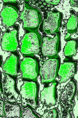 Renkli kirli duvar, desenli arkaplan