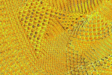 sarı renkli kirli duvar, desenli arka plan