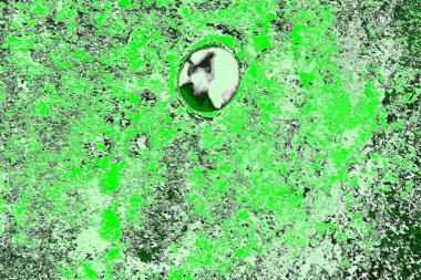 soyut yeşil doku, arkaplan, duvar kağıdını kopyala