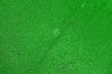 soyut yeşil doku, arkaplan, duvar kağıdını kopyala