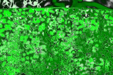 soyut yeşil doku, arkaplan, duvar kağıdını kopyala