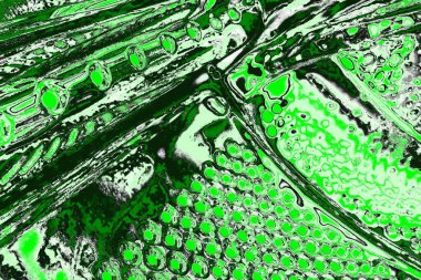 soyut yeşil doku, arkaplan, duvar kağıdını kopyala