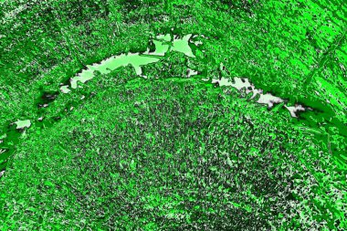 soyut yeşil doku, arkaplan, duvar kağıdını kopyala