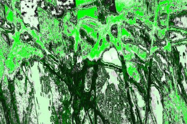 soyut yeşil doku, arkaplan, duvar kağıdını kopyala