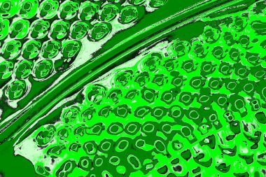 soyut yeşil doku, arkaplan, duvar kağıdını kopyala