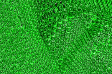 soyut yeşil doku, arkaplan, duvar kağıdını kopyala