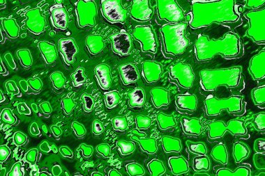 soyut yeşil doku, arkaplan, duvar kağıdını kopyala