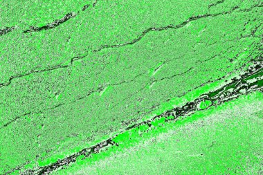 soyut yeşil doku, arkaplan, duvar kağıdını kopyala