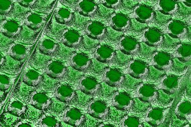 soyut yeşil doku, arkaplan, duvar kağıdını kopyala