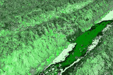 soyut yeşil doku, arkaplan, duvar kağıdını kopyala