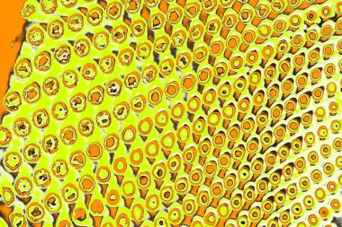 Renkli kirli duvar, desenli arkaplan