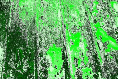 soyut yeşil doku, arkaplan, duvar kağıdını kopyala