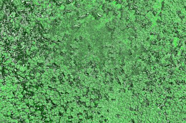 soyut yeşil doku, arkaplan, duvar kağıdını kopyala