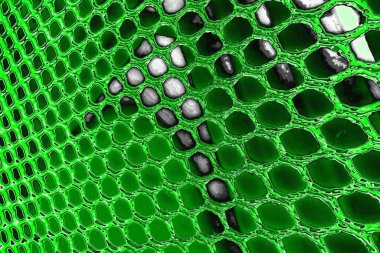 soyut yeşil doku, arkaplan, duvar kağıdını kopyala