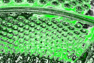 soyut yeşil doku, arkaplan, duvar kağıdını kopyala