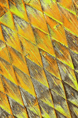 Renkli kirli duvar, desenli arkaplan