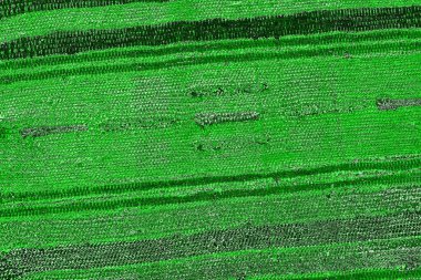 soyut yeşil doku, arkaplan, duvar kağıdını kopyala