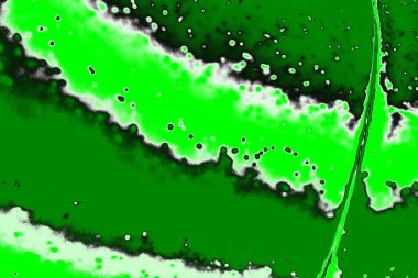 soyut yeşil doku, arkaplan, duvar kağıdını kopyala