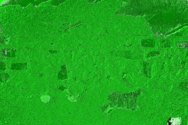 soyut yeşil doku, arkaplan, duvar kağıdını kopyala