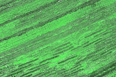 soyut yeşil doku, arkaplan, duvar kağıdını kopyala