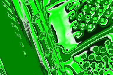 soyut yeşil doku, arkaplan, duvar kağıdını kopyala