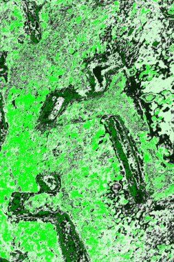 soyut yeşil doku, arkaplan, duvar kağıdını kopyala