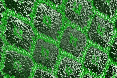 soyut yeşil doku, arkaplan, duvar kağıdını kopyala