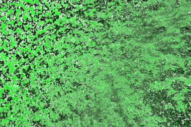 soyut yeşil doku, arkaplan, duvar kağıdını kopyala