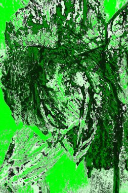 soyut yeşil doku, arkaplan, duvar kağıdını kopyala