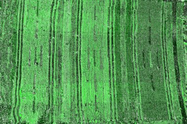 soyut yeşil doku, arkaplan, duvar kağıdını kopyala