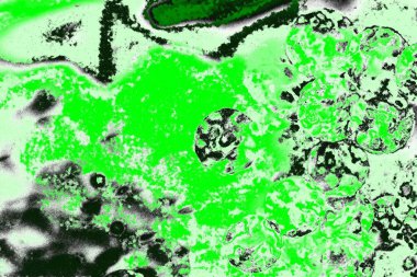 soyut yeşil doku, arkaplan, duvar kağıdını kopyala